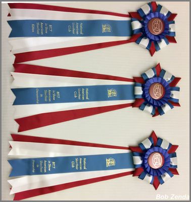 NASC Best in Show ASH